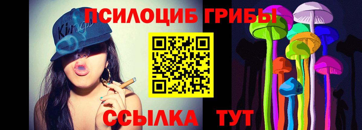 хочу   Галлюциногенные грибы Cubensis  Вход с VPN  Галлюциногенные грибы Psilocybine cubensis  Заволжье 